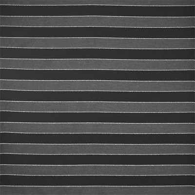 Silver State Palo Alto  Coal